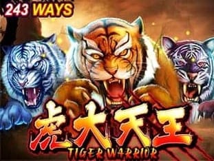 Tiger Warrior screenshot